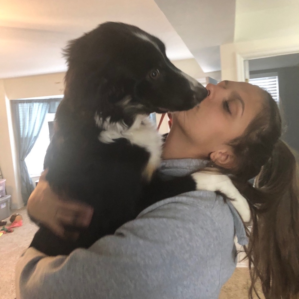 Meet your Posher, Lexi
